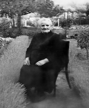 Maria Van Tricht